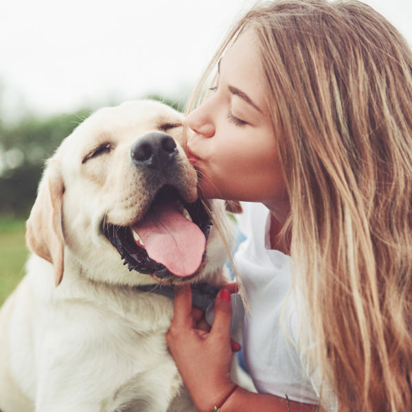 Ein fröhlicher Hund mit seinem Frauchen, das dem Hund einen Kuss gibt. Der Hund sieht fröhlich aus, da die MYBUDDY FLORA Verdauungstabletten seine Verdauung unterstützen