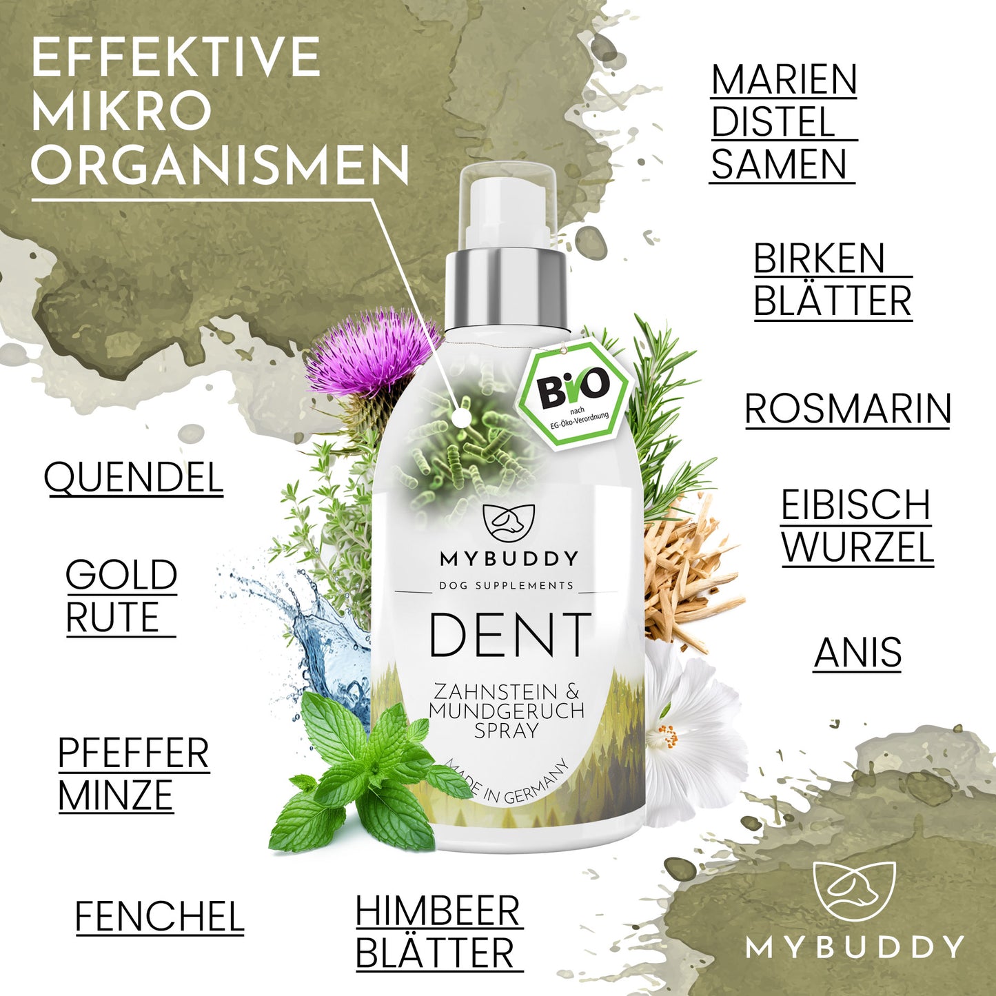 MYBUDDY DENT Effektive Mikroorganismen