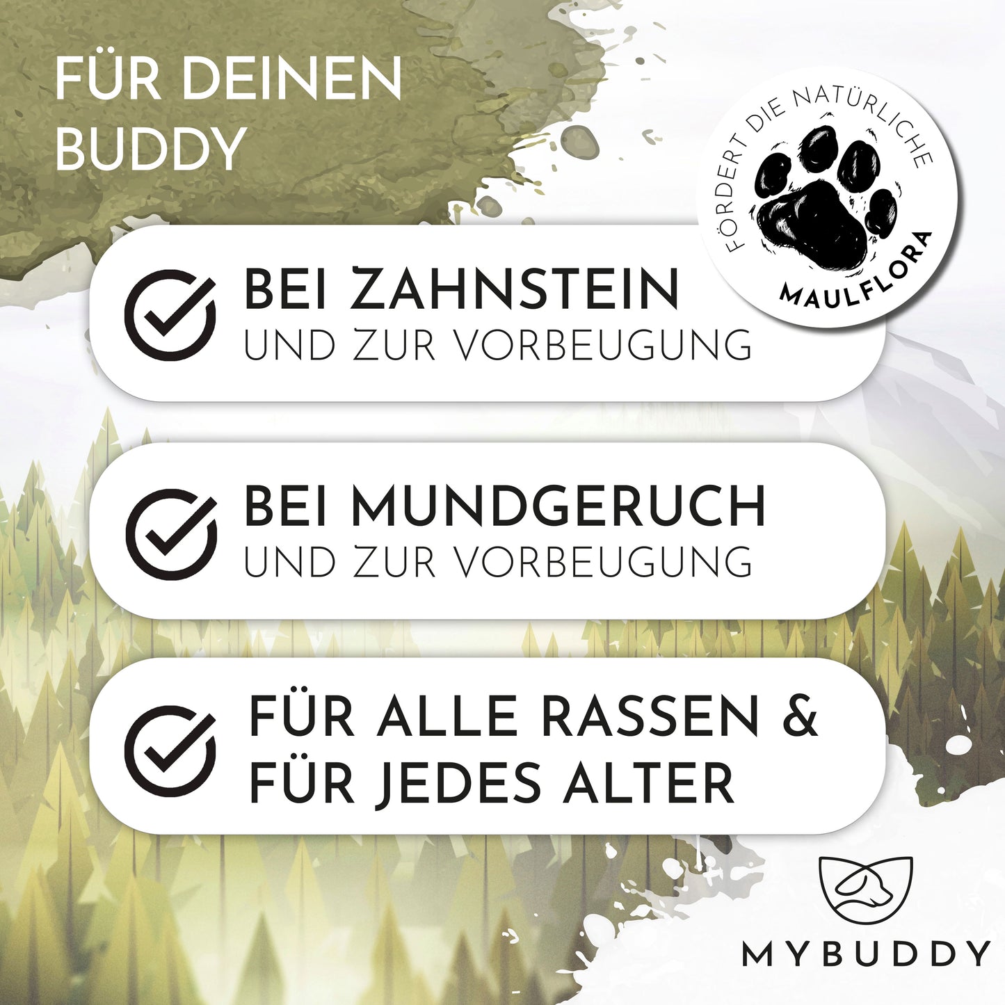 MYBUDDY DENT Für Deinen Buddy