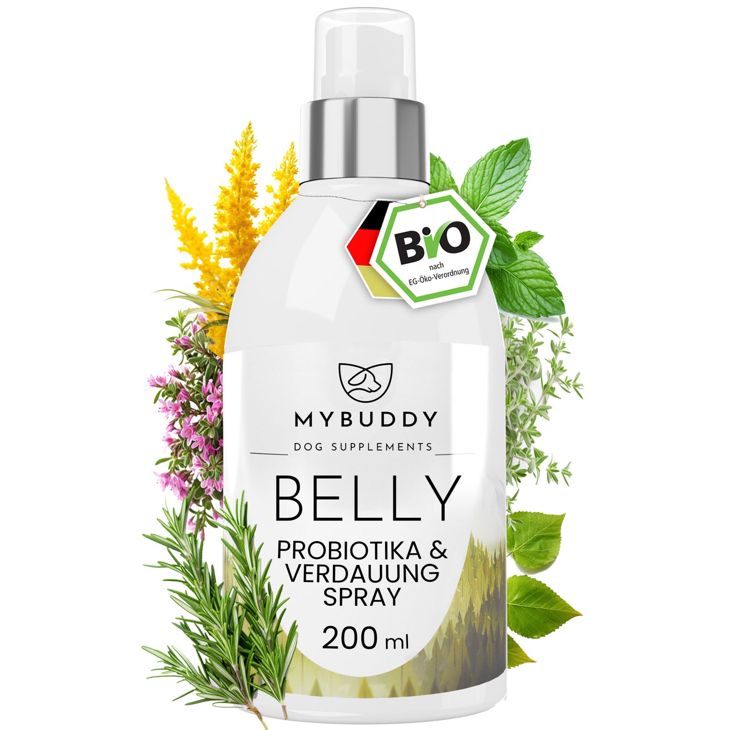 BELLY Probiotika & Verdauung