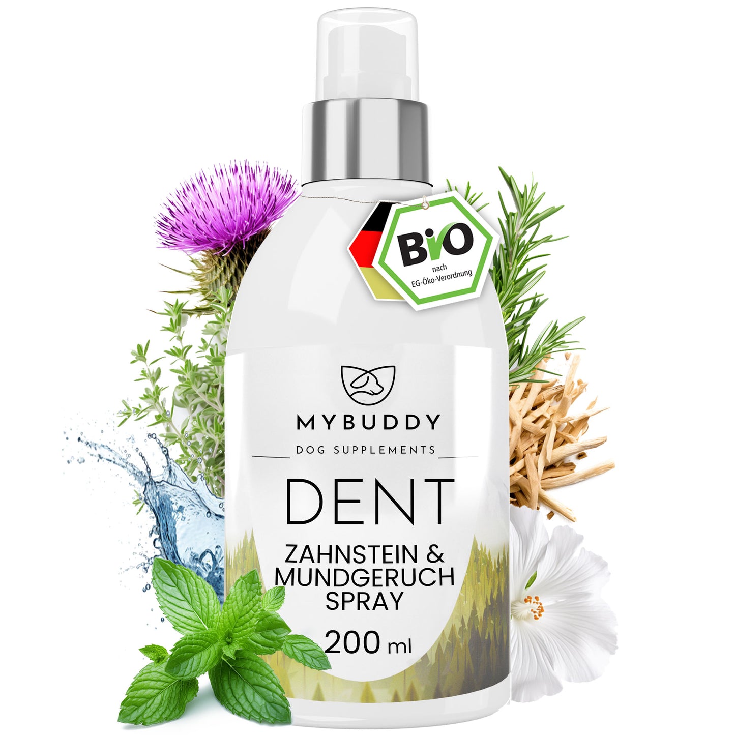 DENT Dentalspray