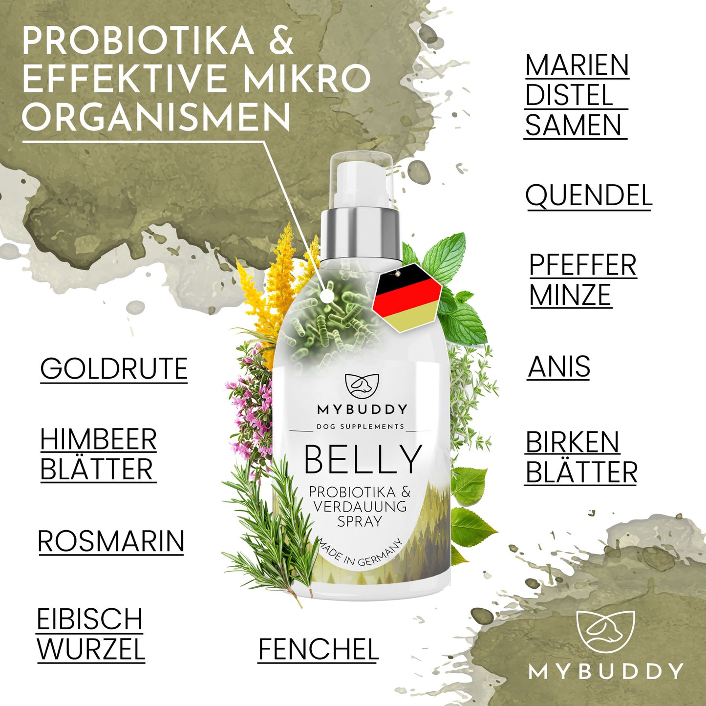 BELLY Probiotika & Verdauung