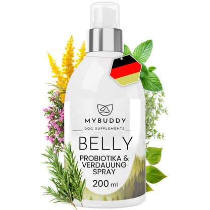 BELLY Probiotika & Verdauung