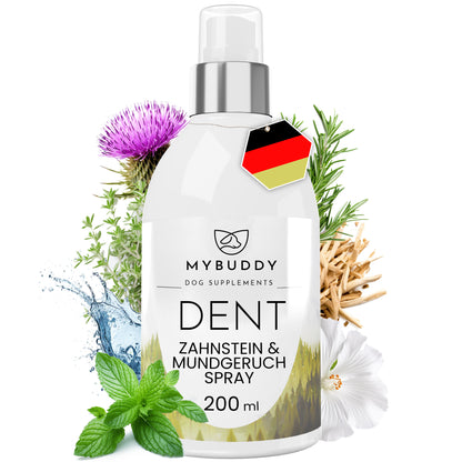 DENT Dentalspray